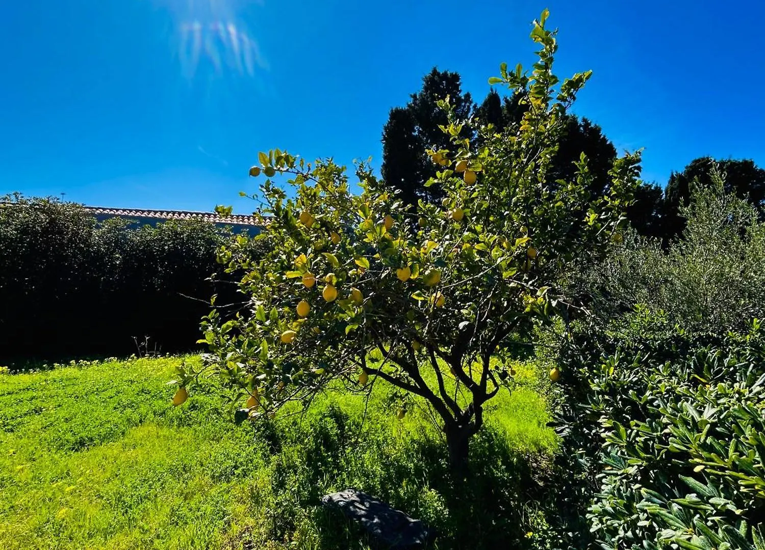 Oltre - Dove Cielo E Mare Si Uniscono Aparthotel Milazzo